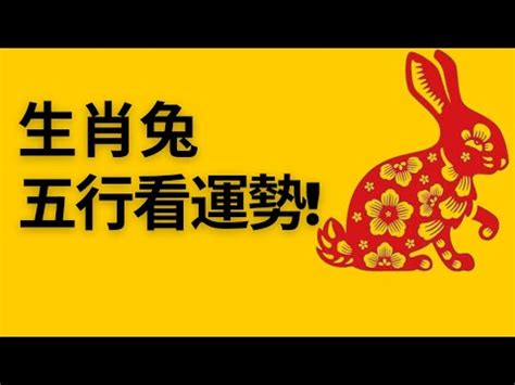 1975 兔年|【1975是什麼兔】驚！1975屬兔到底是什麼命格？五。